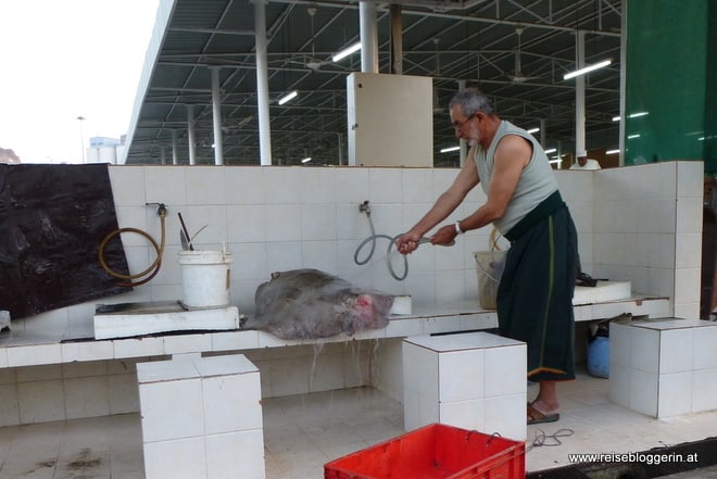 Der Fischmarkt in Oman